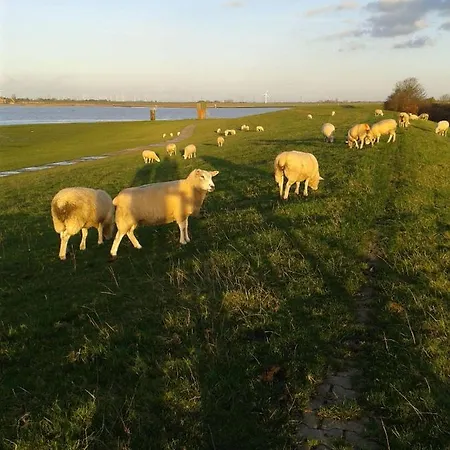 Dom wakacyjny Luettje-glueck Pogum