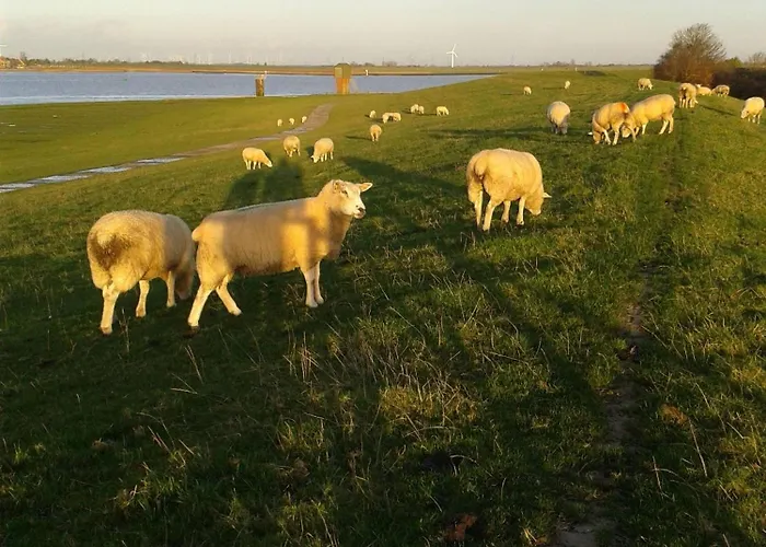 Luettje-glueck Pogum